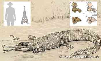 Prehistoric crocodile the length of a BUS roamed Queensland's waterways up to five million years ago