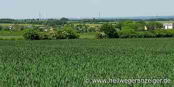 Unterwegs in Fröndenberg: Meine Erfahrungen mit dem Hirschberg - Hellweger Anzeiger