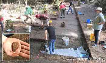 Researchers find evidence of long-lost Native settlement in Florida missing since the 16th century 
