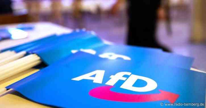 Neuer «Flügel»? AfD-Vertretern droht womöglich Rausschmiss