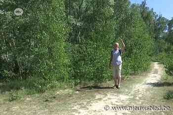 Protest klinkt steeds luider:“Saneringsplan Kleiputten met Oosterweelgrond onmogelijk”