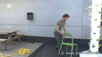 Nieuwe trend: waarom geen tuintje in de hoogte?