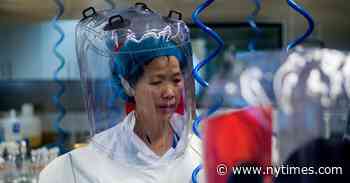 China’s ‘Bat Woman,’ at the Center of a Pandemic Storm, Speaks Out