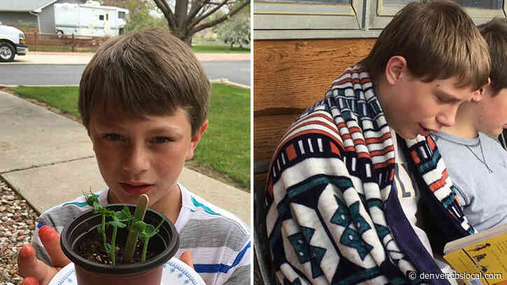 Search Begins For 2 Boys Missing From Area Of Berthoud Parkway In Larimer County