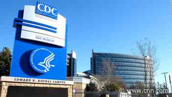 CDC suspends import of dogs from countries with high rabies risk