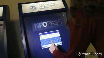 US expanding work permits, deportation relief for crime victims