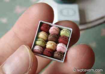 WordPress 5.8 Introduces Support for WebP Images