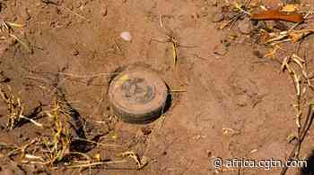 Police officer, two soldiers killed in Cote d'Ivoire IED blast - cgtn.com