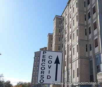 Covid, 26 nuovi contagi in una settimana: tasso di positività fermo all'uno per cento - Il Giornale del Molise