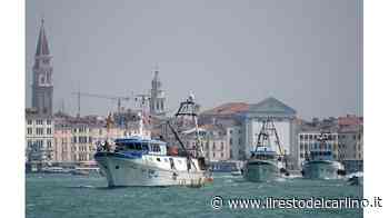 Le barche ‘invadono’ Venezia: "No al fermo pesca prolungato" - il Resto del Carlino