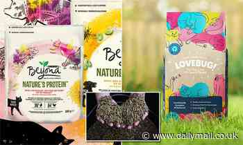 Some pet food brands are now using proteins from insects to reduce their carbon impact