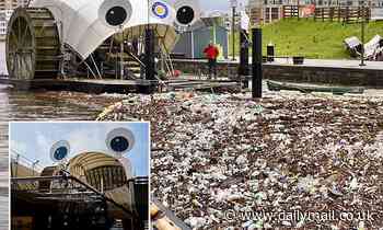 Baltimore's garbage interceptor Mr Trash Wheel is gobbling up marine garbage and making lots of fans