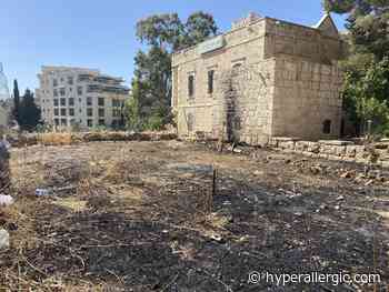 Supporters Raise Over $30K for Bethlehem Arts Center Raided by Israeli Soldiers - Hyperallergic