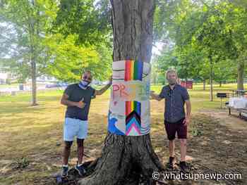 Newport Health Equity Zone’s Arts & Culture Working Group and Newport Art Museum call for artists and makers for Hope Tree Art Exhibition 2021 - What'sUpNewp