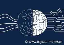 KI-Services: Build vs. Buy oder wie finde ich die richtigen KI-Services? - BigData-Insider