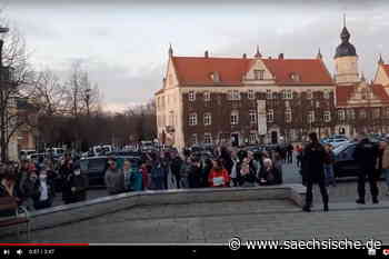 Riesa: Demonstrantin beißt Polizistin - Sächsische Zeitung