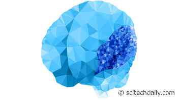 Genetic Mutation Reveals Surprising Role of Bioelectricity in Early Brain Formation