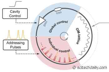Photonic Crystal Fiber-Based “Parallel Reactors” Unveil Collective Matter-Light Analogies of Soliton Molecules