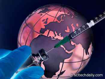 Humans Are Creating Conditions That Could Lead to the Next Pandemic