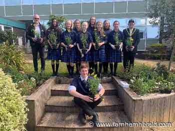 Farnham Heath End students work to revive outdoor area - Farnham Herald