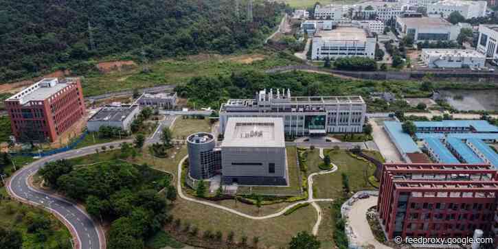 Wuhan virologist Dr. Shi Zhengli denies COVID-19 lab leak theory in rare interview