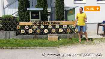 In Biberberg informiert ein Schaukasten über das Leben der Bienen