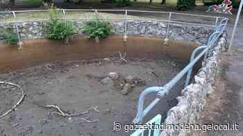 Modena. «Bonvi Parken abbandonato Le vasche sono svuotate» - La Gazzetta di Modena