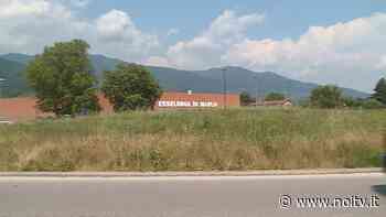 L'erba che cresce sulle aiuole delle rotonde puo' rappresentare un pericolo - NoiTV - La vostra televisione