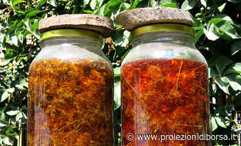 Il 24 giugno dobbiamo prepararci a raccogliere questa preziosa erba officinale usata per il buon umore ma ... - Proiezioni di Borsa