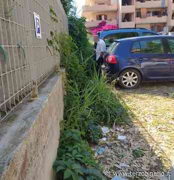 Rifiuti ed erba alta nel parcheggio del centro vaccinale di Ladispoli - TerzoBinario.it