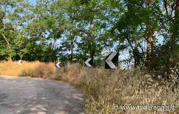 Acquaviva Futura: “Strada Provinciale 1, erba alta e segnaletica orizzontale inesistente” - Riviera Oggi