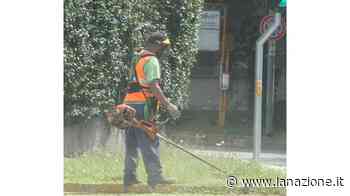 Erba alta, finalmente parte il taglio nei parchi - LA NAZIONE