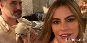 Sofia Vergara Says Her Dog Bubbles Acts Like Joe Manganiello's Mistress: 'She Hates Me' - PEOPLE