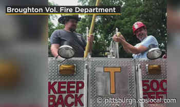 Firefighters Rescue Pet Cockatoo From South Park Tree