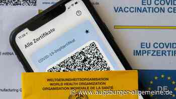 Wo und wie? So kommt man in Baden-Württemberg an den digitalen Impfpass