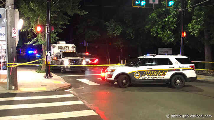 Man Left In Critical Condition Following Shadyside Hit-And-Run Crash