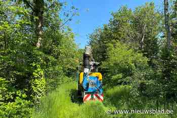 Preventieve bestrijding processierups