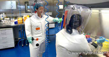 Una viróloga del laboratorio en Wuhan al centro de la pandemia, en entrevista