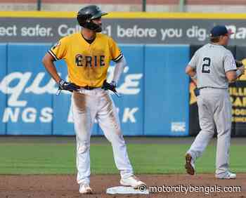 Detroit Tigers: Spencer Torkelson and Dillon Dingler head to Erie - Motor City Bengals