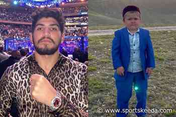 Dillon Danis Hints at Possible Collaboration with 'Mini Khabib' Hasbulla Magomedov - Sportskeeda
