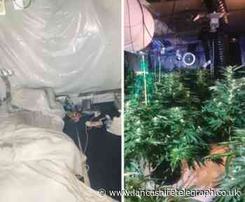 Police spend three days clearing 1,000 plant cannabis farm in Blackpool