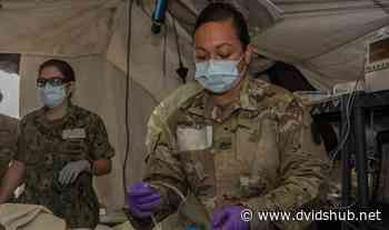 Medical professionals train, hone skills during exercise - DVIDS