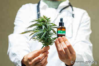 Impatience Grows Over Pending Medical Marijuana Licenses - GPB News