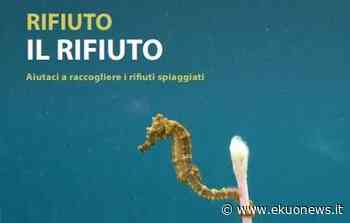 Campagna di raccolta dei rifiuti spiaggiati a Scerne di Pineto - ekuonews.it