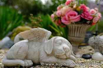 Letzte Ruhe für den Liebling: Eine Tierbestatterin erzählt