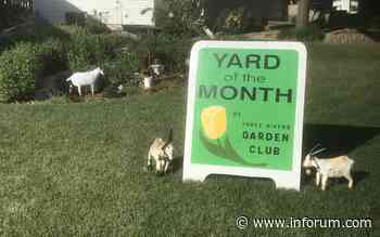 Three Rivers Garden Club names June Yard of the Month - INFORUM