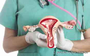 Câncer de ovário: saiba como pode ser detectado e tratado - Portal Rondon