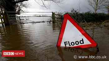 UK government pledges a 'nature-positive future'