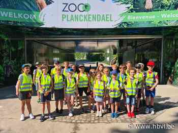 Leerlingen De Horizon winnen dagje Planckendael - Het Belang van Limburg