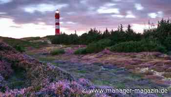 Nordsee-Urlaub: Die schönsten Inseln des Wattenmeers